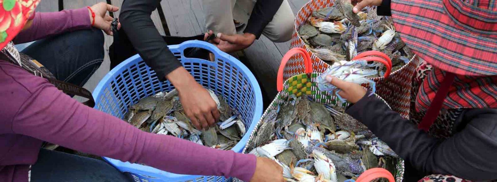 Blue Crab Market