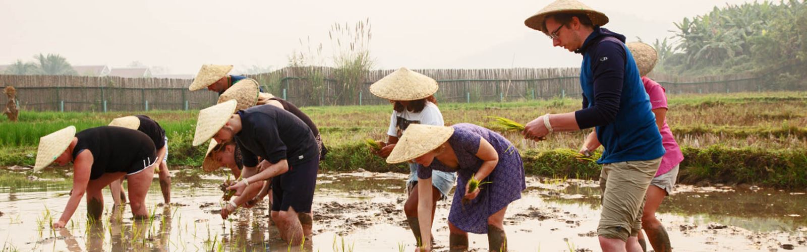 Cambodia Travel |Cambodia Tours |Cambodia Private tours | ilotustours