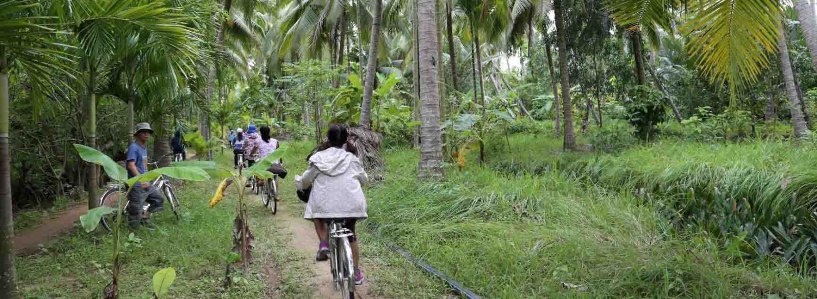 Biking tour in Ben tre