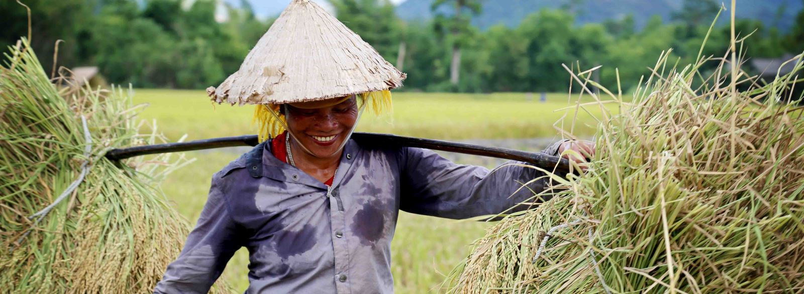 The Thai People in Nghia Lo, Yen Bai