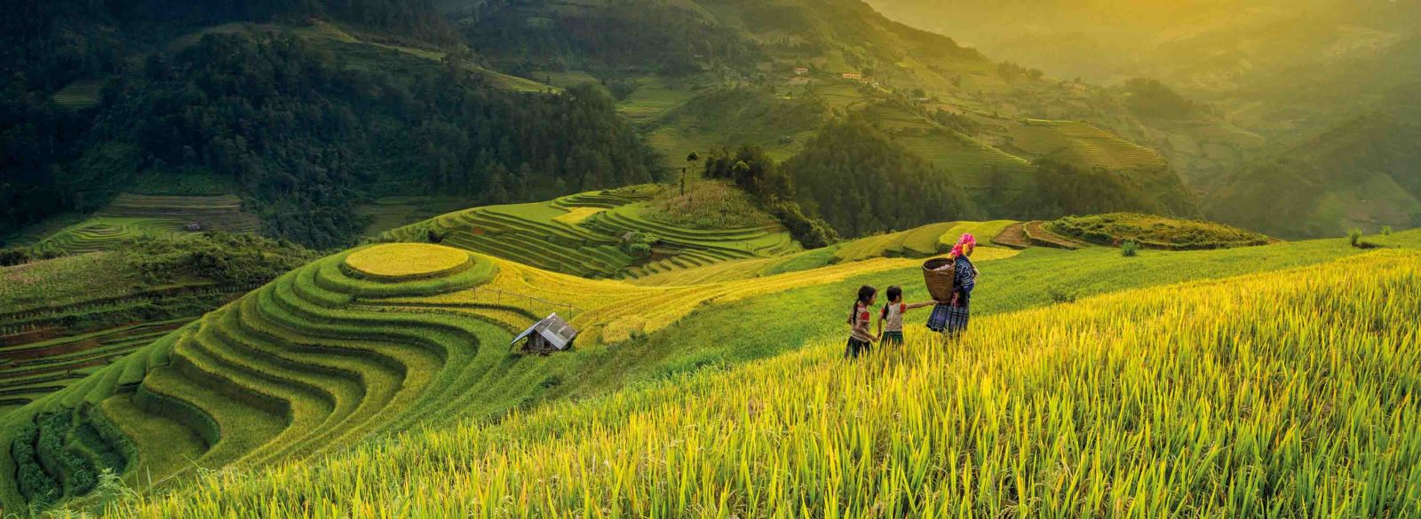 Mu Cang Chai