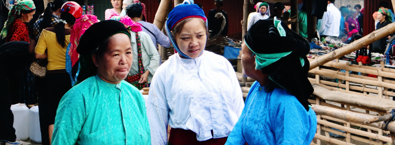 Local market in Sapa